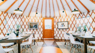 Annette Yurt