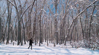 Winter Cherry Creek