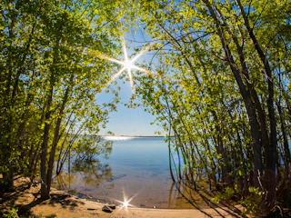 Sunshine at Cherry Creek State Park in Aurora Colorado